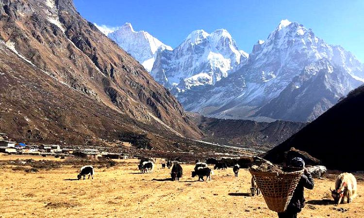 Kanchanjunga Base Camp Trekking