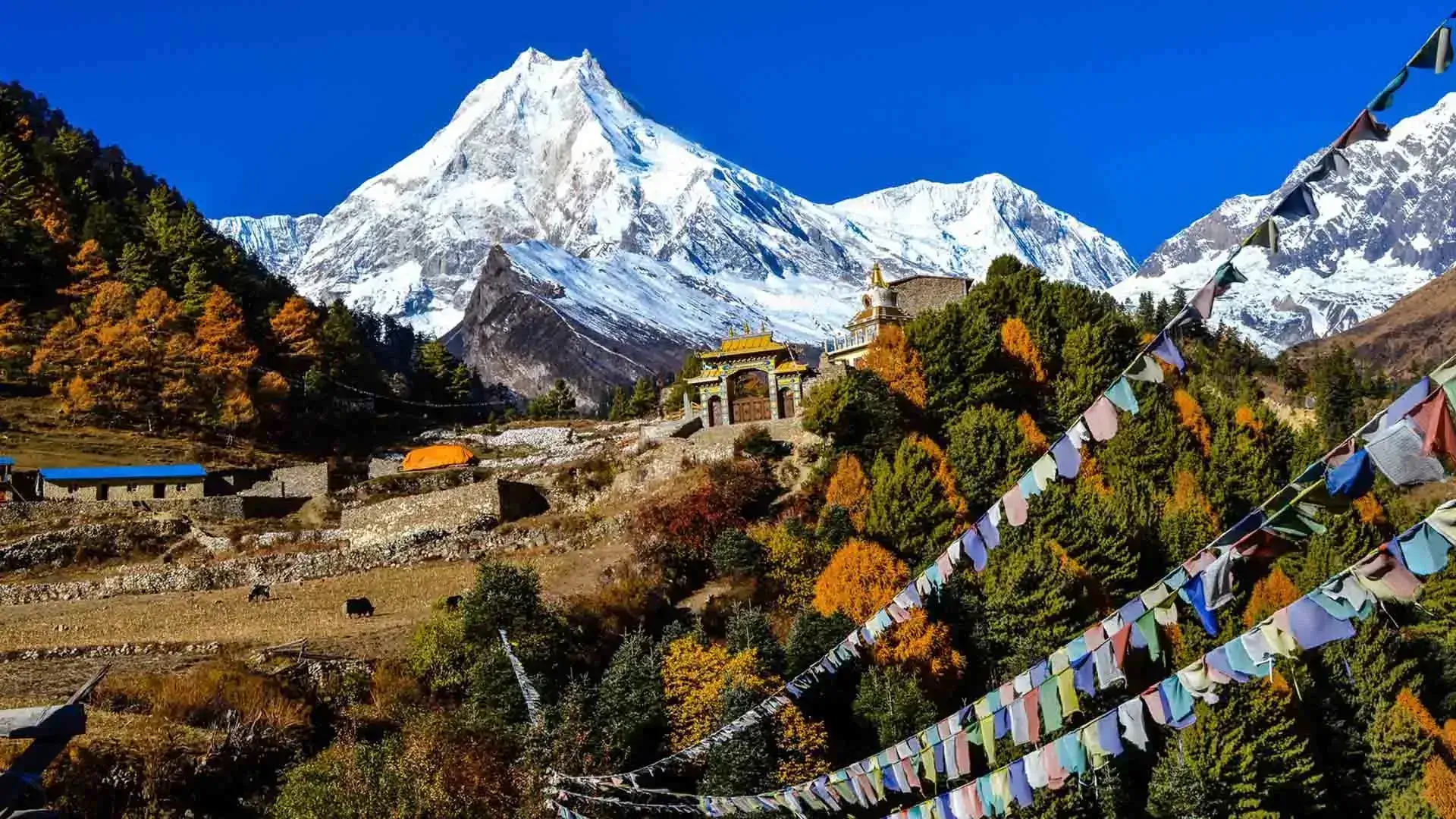 Manaslu Circuit Trekking